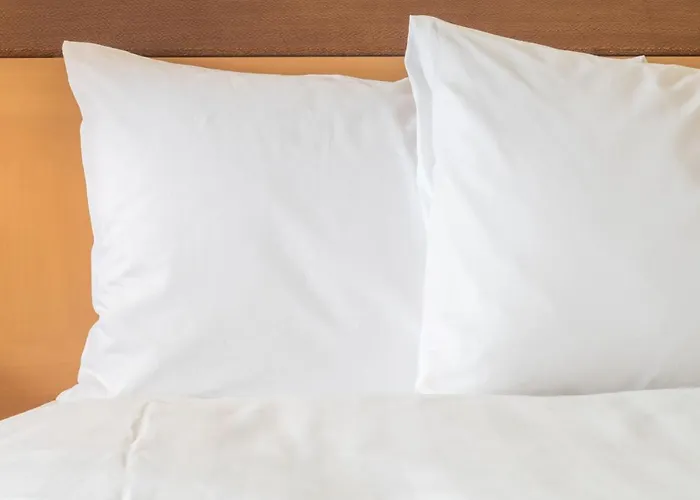 Express & Charleston Arpt-conv Ctr Area By Ihg Hotel