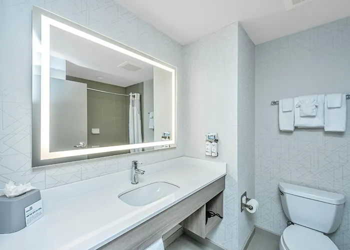 Express & Charleston Arpt-conv Ctr Area By Ihg 3*